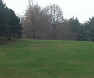 someone thinks im a disc golf pro