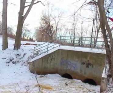 Will Betts 2014 Season Edit