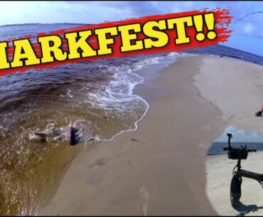 Lectric XP Bike Surf Fishing SharkFest with Southern Outdoors Fishing