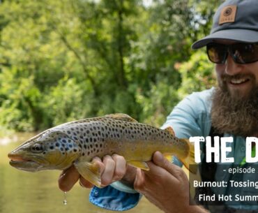 Summer Creek Trout Fishing With Spinners | THE DRIP [Ep. 2]