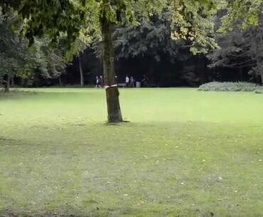 Amsterdam Open Discgolf 2015 Final 9 Highlights