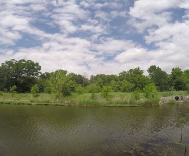 Carrollton Bass fishing / I dont care if its a dinker