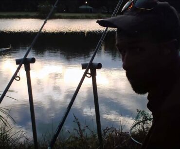 Fat catfish in city park, plus rig, bait, and tactics.