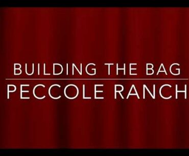 Building the Bag for Peccole Ranch