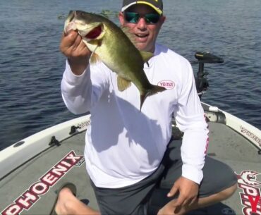 Bobby Lane Search Bait Tactics For Bass