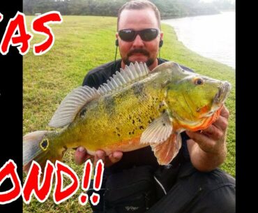 PEACOCK BASS FISHING FLORIDA