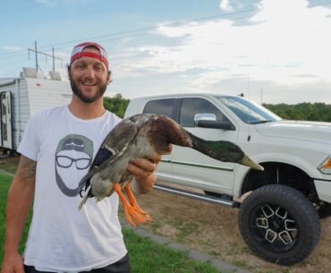I Bought My Dream Truck and a Pet Mallard!!
