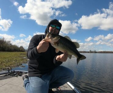 CA DELTA BASS FISHING 2018