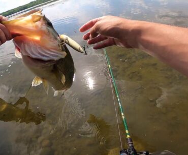 Fishing Topwater for HUGE Bass at a Hidden Lake in the Woods (INSANE Footage)