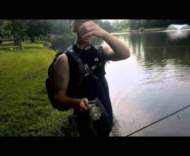 Maryland Pond Summer Bass