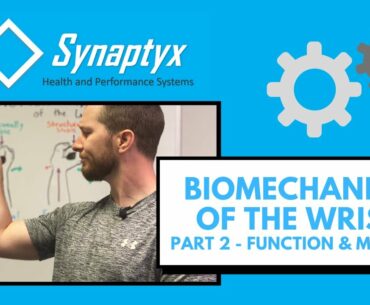 Biomechanics of the WRIST - Pt 2 FUNCTION & MOTION