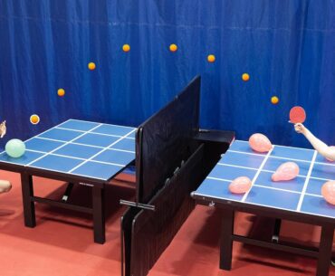Ping Pong Battleship 2
