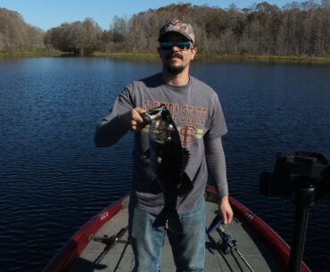 FLORIDA WINTER BASS LOVE JERKBAITS!!-DUVAL ISLAND
