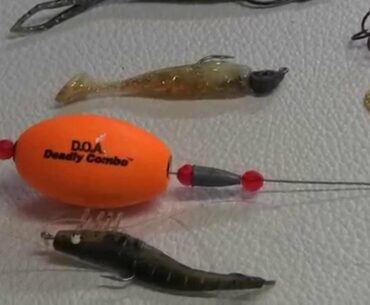 Best Fishing Lures for Seatrout