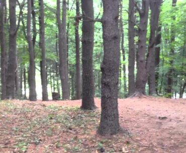John E (JohnE) McCray- Hole 4 Sunday 2012 Vibram Open