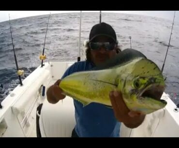 catching mahi-mahi and tuna in key west