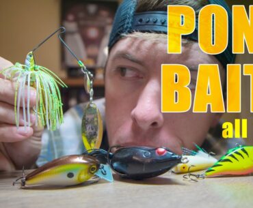 Best Pond Fishing Baits to Use Year Round