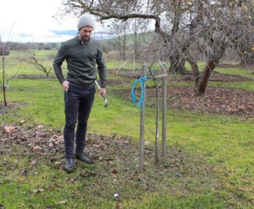 NO PLAY ZONE, what does it mean? - Golf Rules