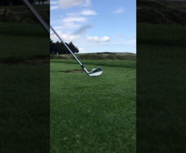 3 iron stinger