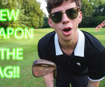 NEW WEAPON IN THE BAG!!!| Stinger shots??