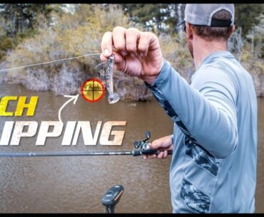2 Casting Methods to Become a Better Shallow Bass Angler