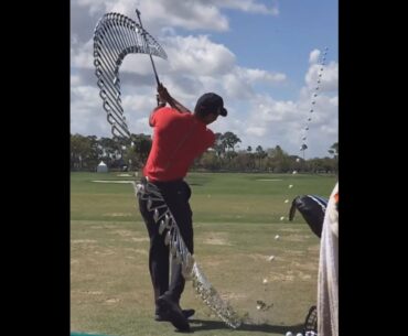 Tiger Woods Golf Swing Trace