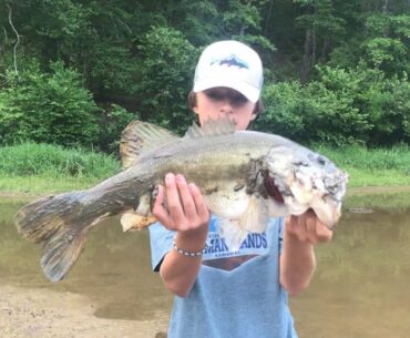 Early Morning Topwater Catching Big Bass