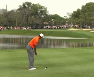 Tiger Woods - 2013 Arnold Palmer Invitational (complete highlights)
