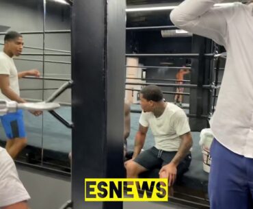 Gervonta Tank Davis should compete at 147 says kenny of team tank
