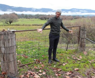 Do I get to Move a Gate that is attached to boundary objects? - Golf Rules