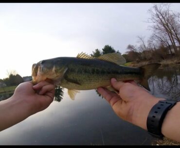 Pre Spawn Pond Fishing