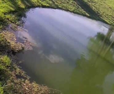 How To Catch Big Bass In The Summer