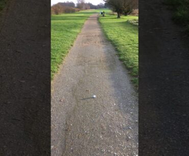 Quiz 2 (The Rules of Golf). Ball in the middle of path