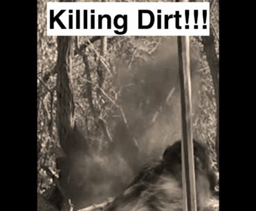 Killing Dirt Part 1 - Dr Ashby's 12 Factors of enhancing penetration #theafricanallureoutdoors