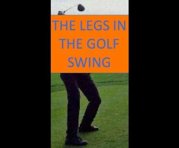The Role of the Legs in Golf
