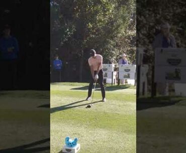 Cameron Champ golf swing - driver / 2018 Sanderson Farms