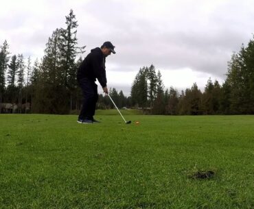 Golf with Friends at Mccormick Woods