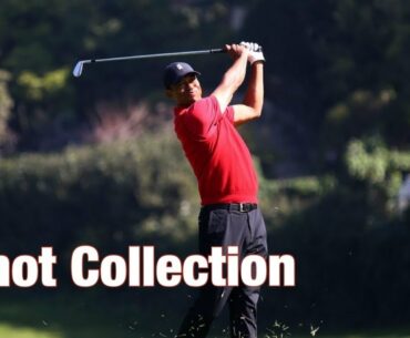 Tiger Woods | 6+over 77 | Final Round | 2020 Genesis Open