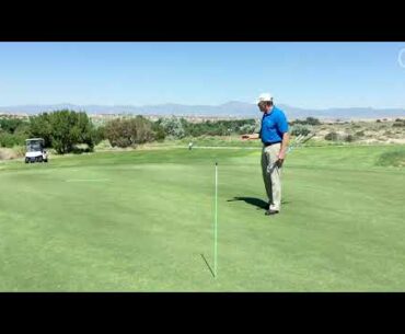Shot and Club Selection in a Pitch Shot