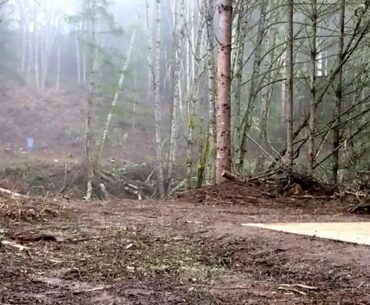 Buxton Woods disc golf course Ace hole 11