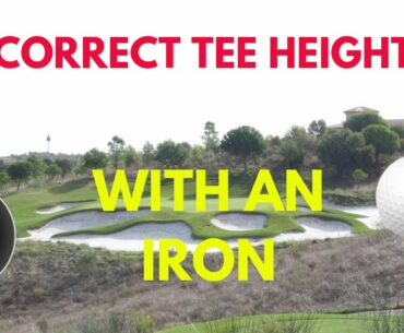 CORRECT TEE HEIGHT   WITH AN IRON