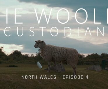 The Woolly Custodian - Holywell Golf Club - Episode 4
