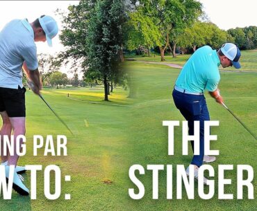 HOW TO HIT A STINGER + Stinger Challenge