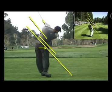 PGA Tour Player Tiger Woods Swing Comparison