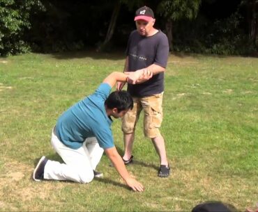 Understanding the Hapkido Wrist Lock 2016