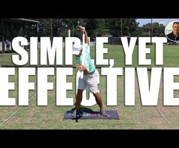 This Stick is an Excellent Training Aid, Simple and Effective