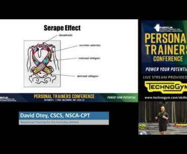 Rotational Power for the Everyday Athlete | NSCA.com