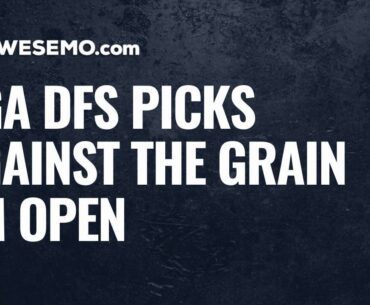 PGA DFS Millionaire Maker Picks & Fades: Against The Grain 2020 3M Open
