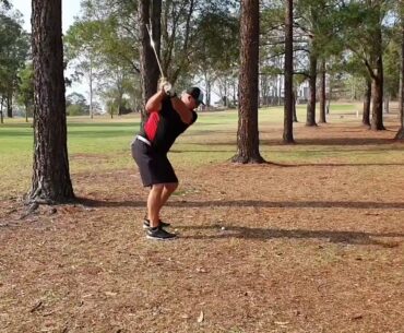 Golf Tips - 8th Hole Tree