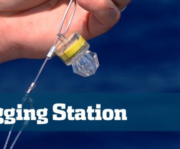 Florida Sport Fishing TV - Rigging Station Gulf Deep Drop Fishing Tips Tactics Tackle